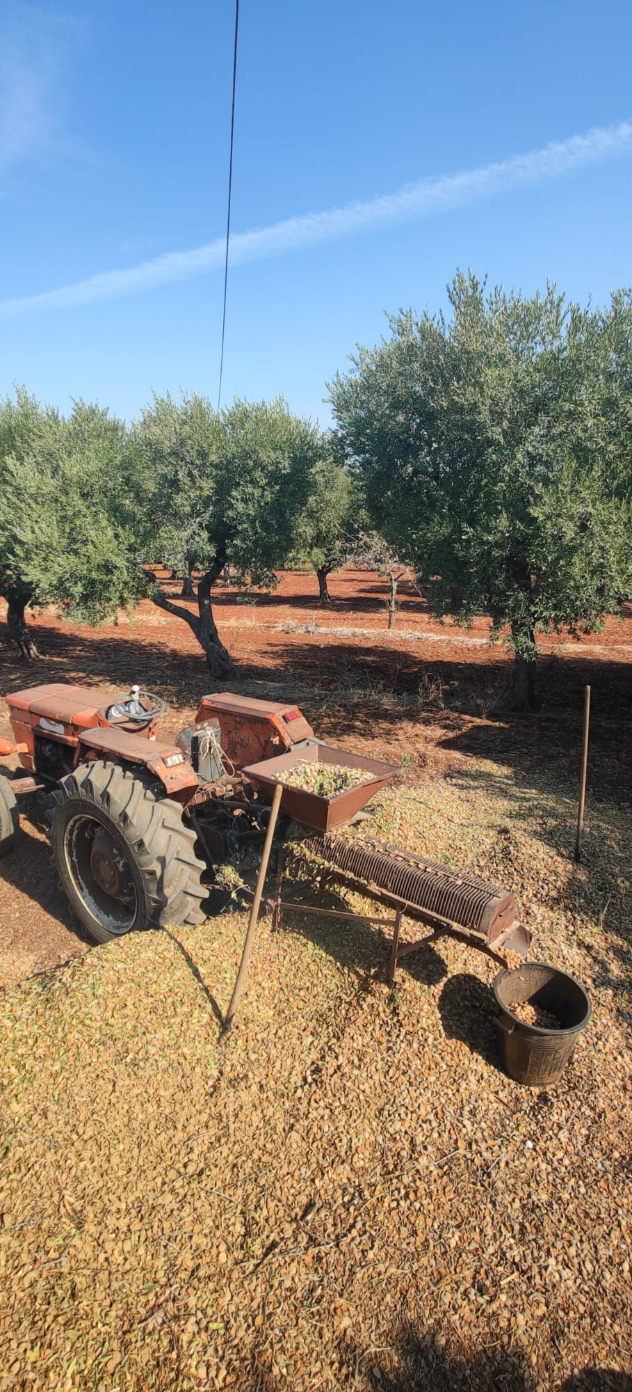 Agriculture / 05