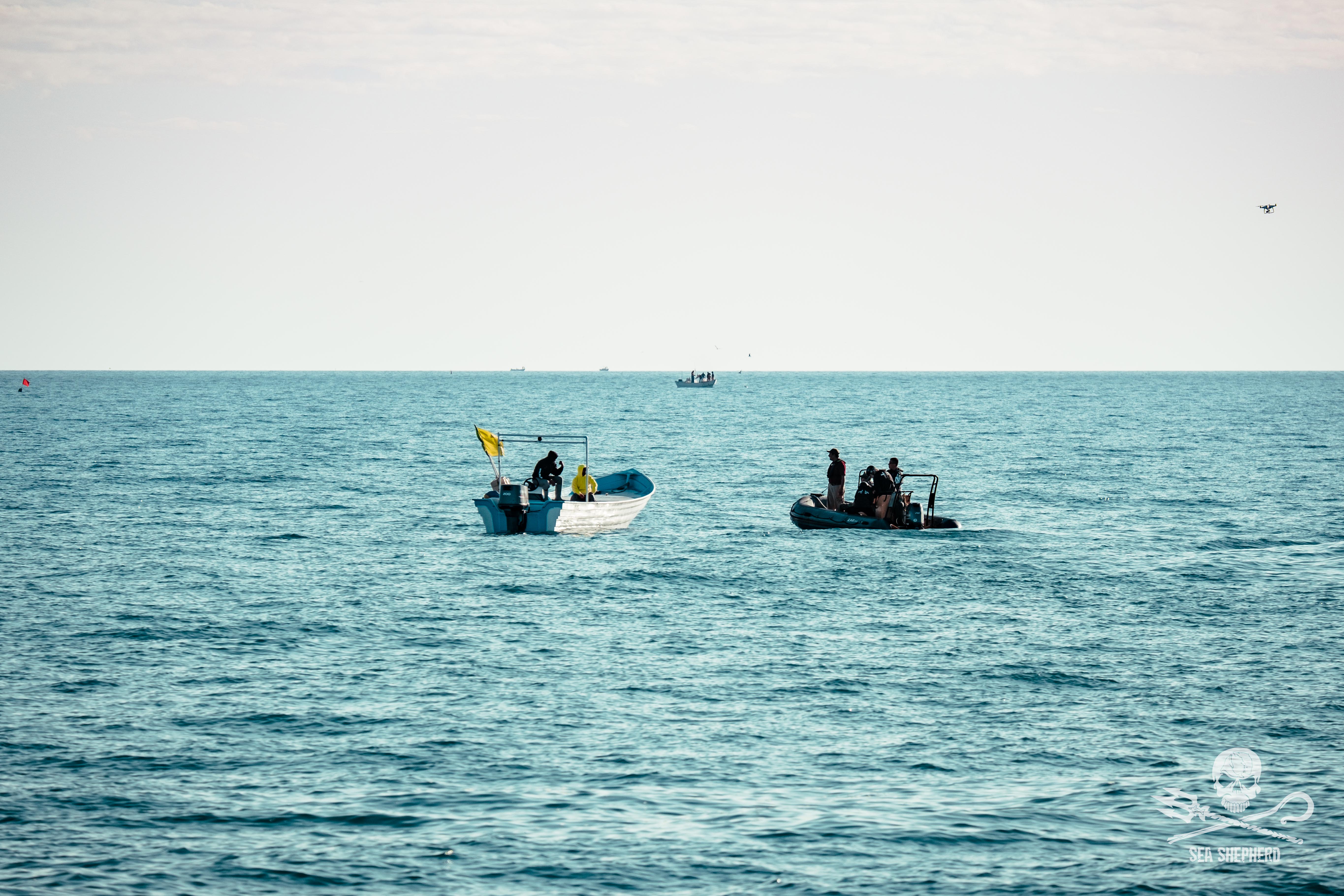 Marine conservation / 01