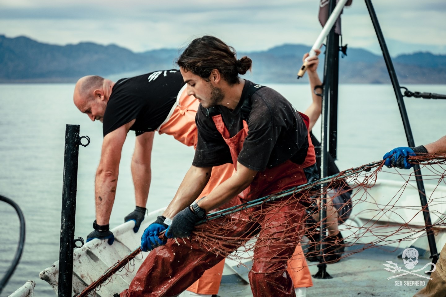 Marine conservation / 04