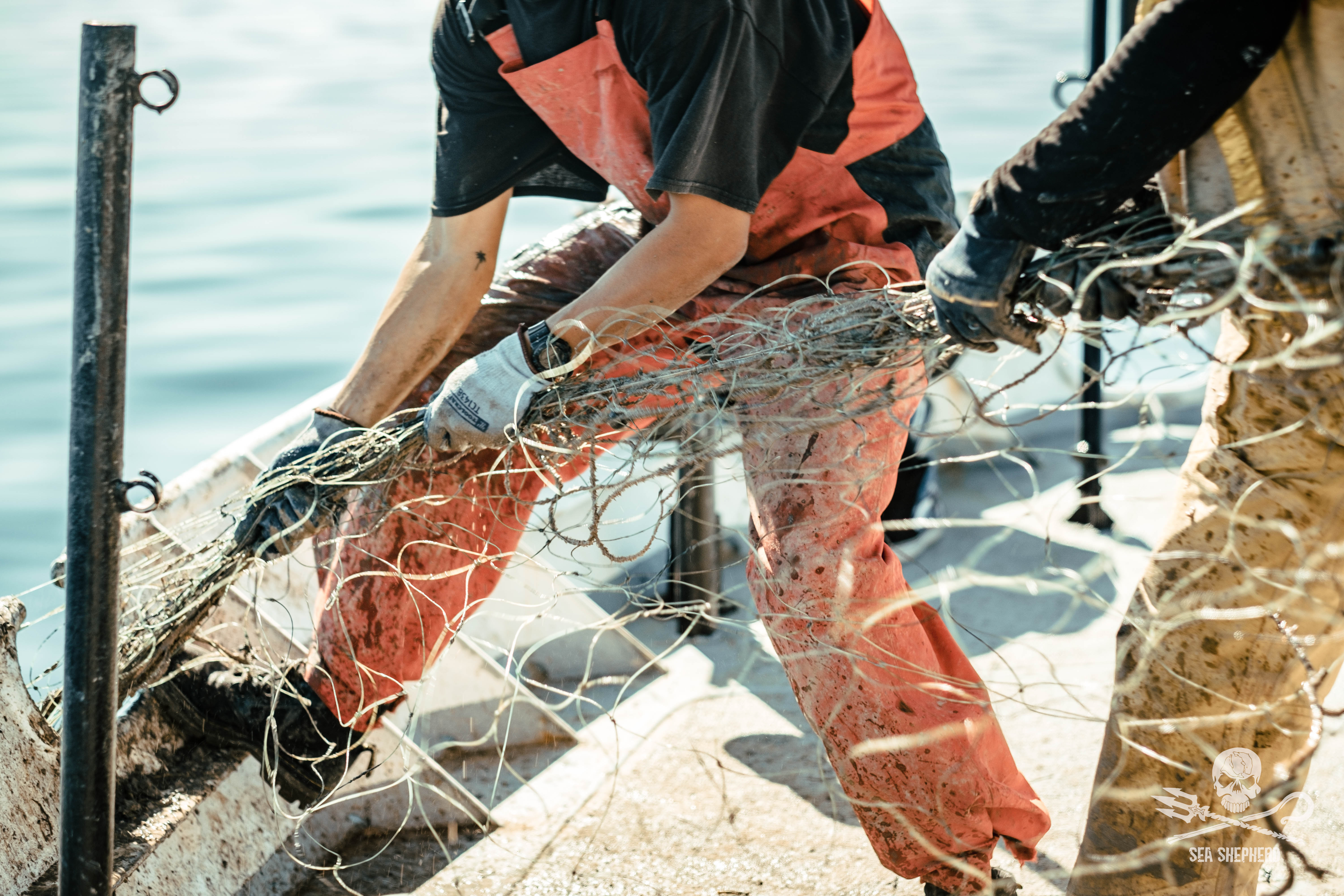 Marine conservation / 05