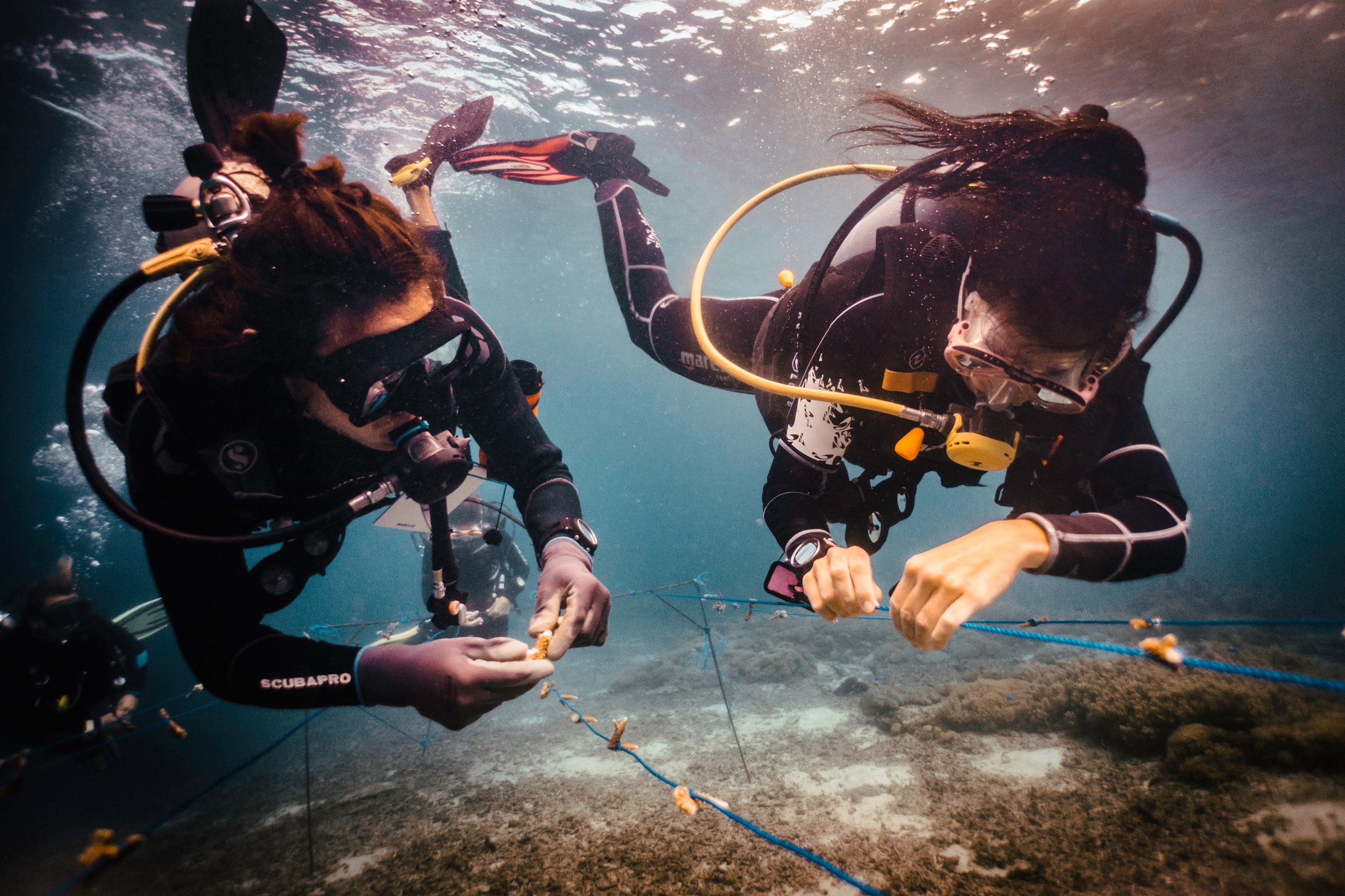Coral nursery construction at Blue Corner Marine Research