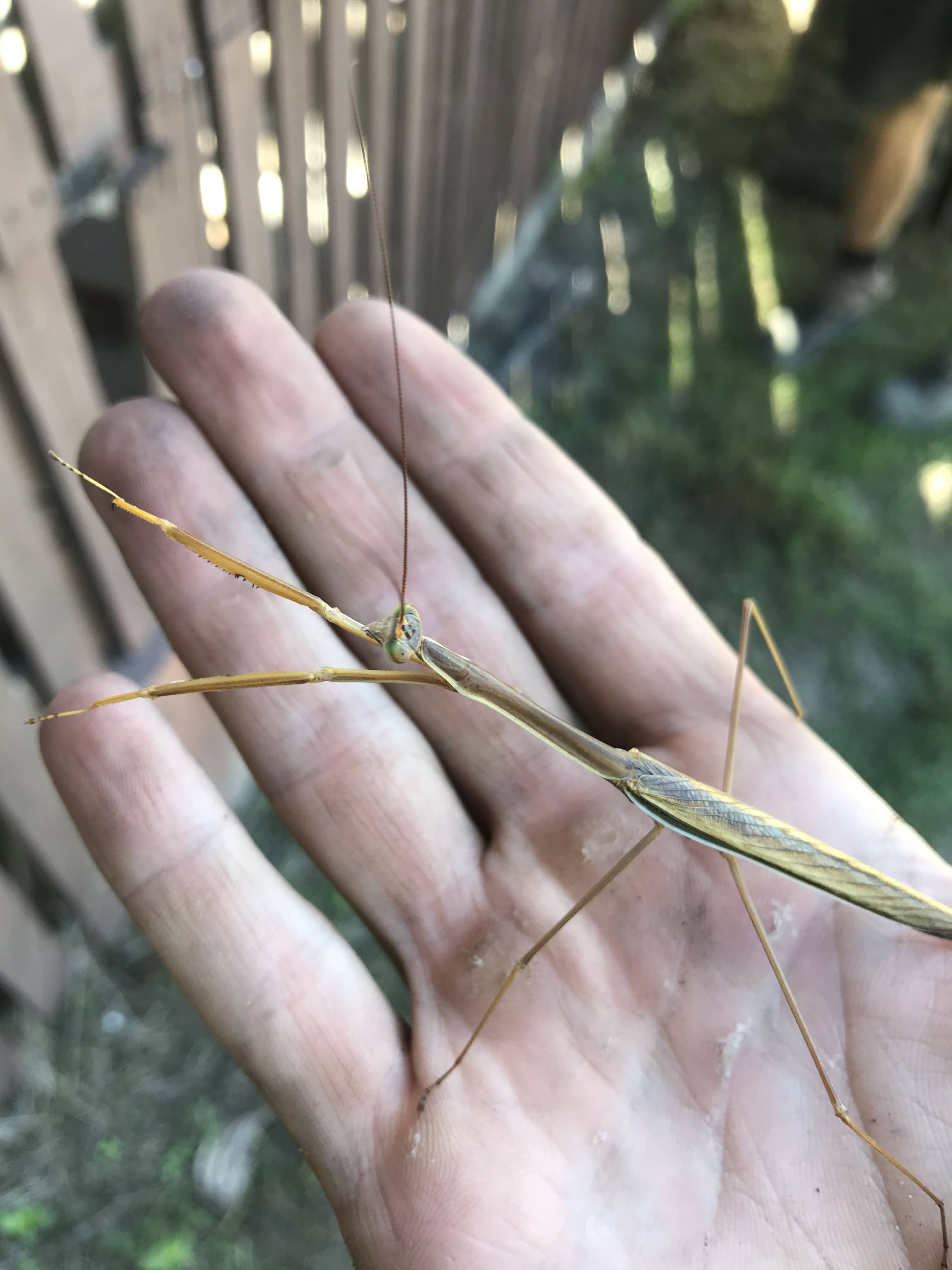 Reforestation / 04